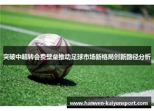 突破中超转会费壁垒推动足球市场新格局创新路径分析